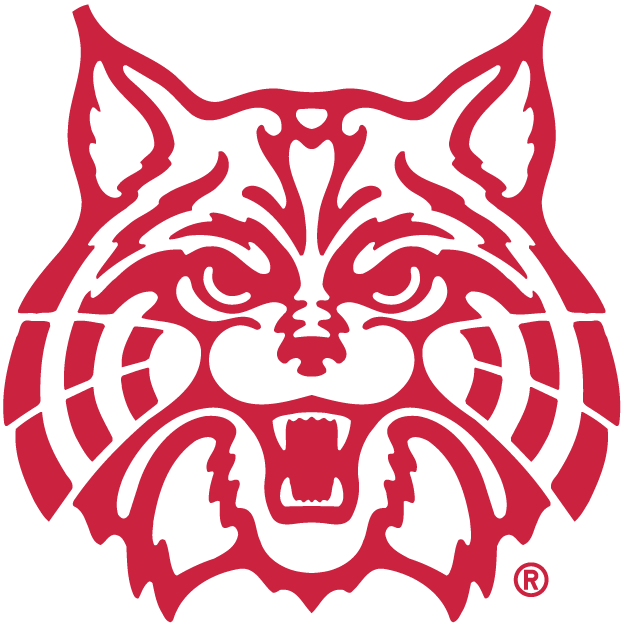 Arizona Wildcats 1990-Pres Alternate Logo v3 diy fabric transfer